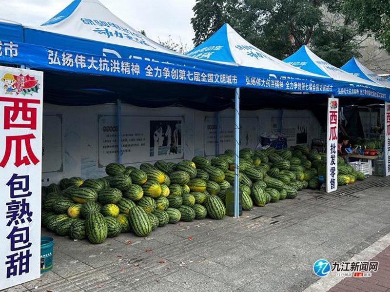 九江批发市场的活力与变革